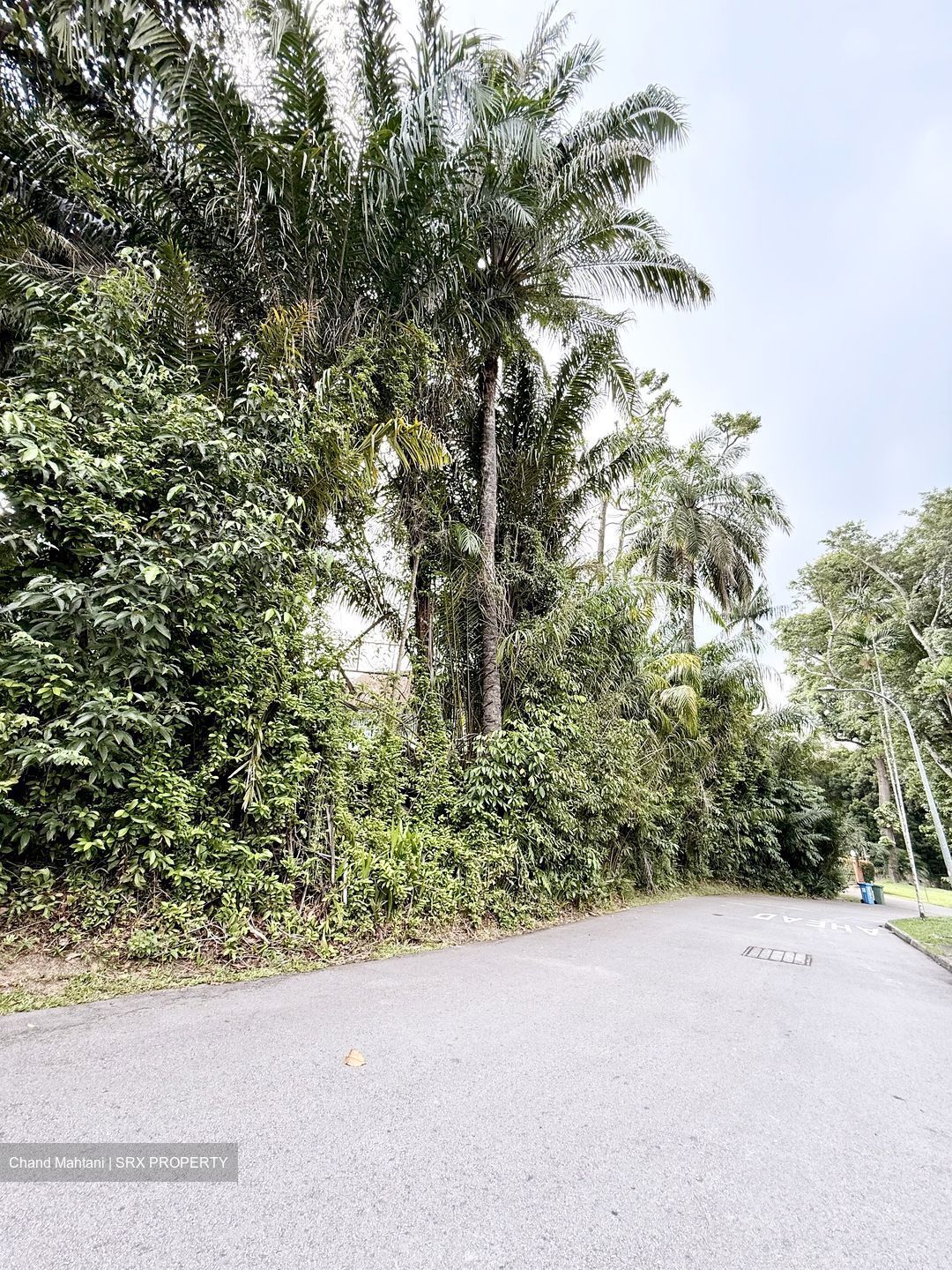 Cluny Park (D10), Detached #560244421